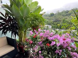 SilverSea (D15), Condominium #569605721